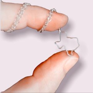 HOST PICK!! Texas Silver Colored Dainty Pendant Necklace